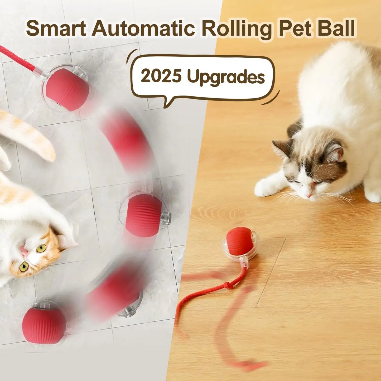 PawGlide Rolling Toy