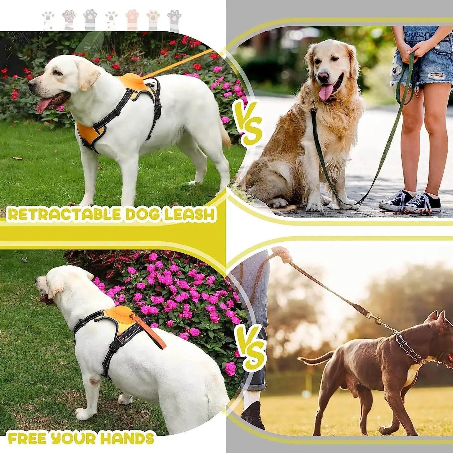 SnapLeash 2-in-1